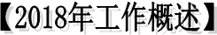 【2018年工作概述】