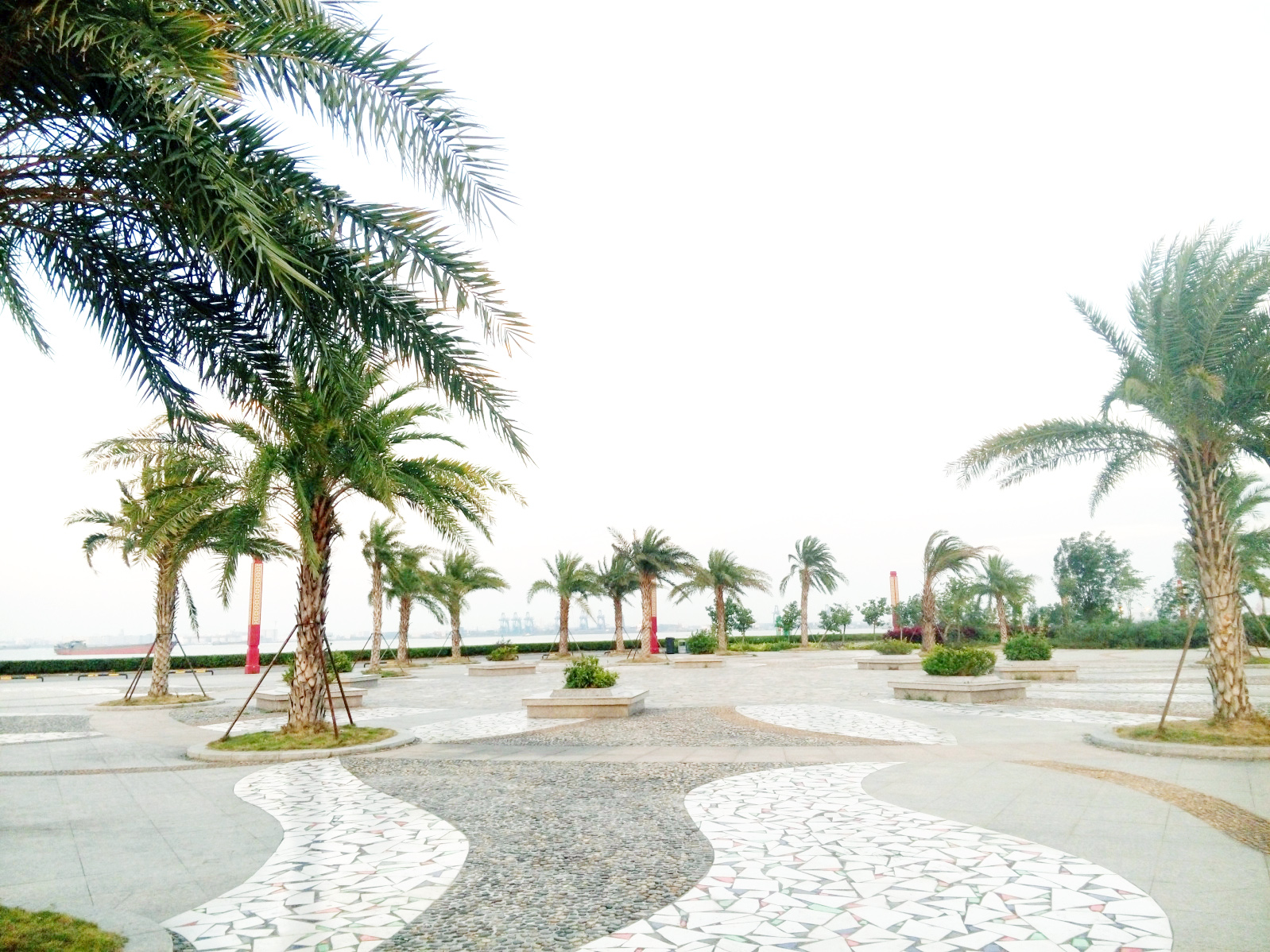 海邊椰林.jpg