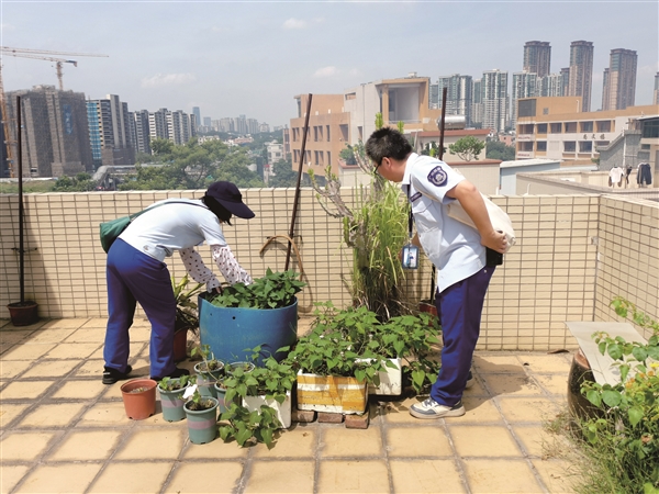 番禺區(qū)開展愛國衛(wèi)生運(yùn)動統(tǒng)一行動