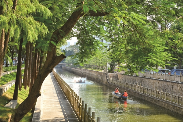 番禺水環(huán)境治理三年攻堅(jiān)行動高效推進(jìn)